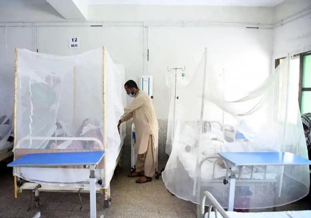 Foto - Ülke tarihinin en büyük salgını! "Pandemi seviyesinde"