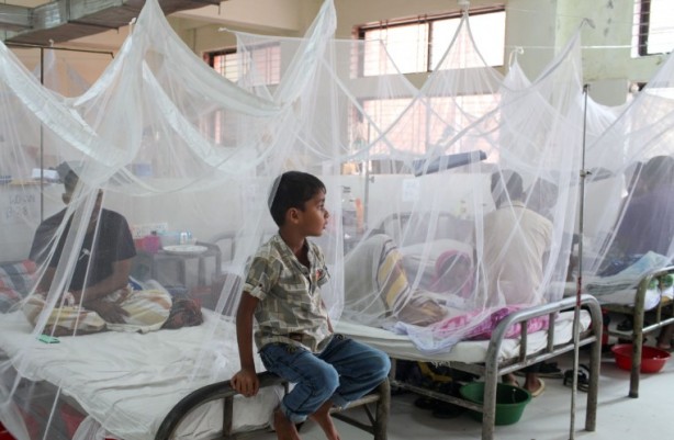 Foto - Ülke tarihinin en büyük salgını! "Pandemi seviyesinde"