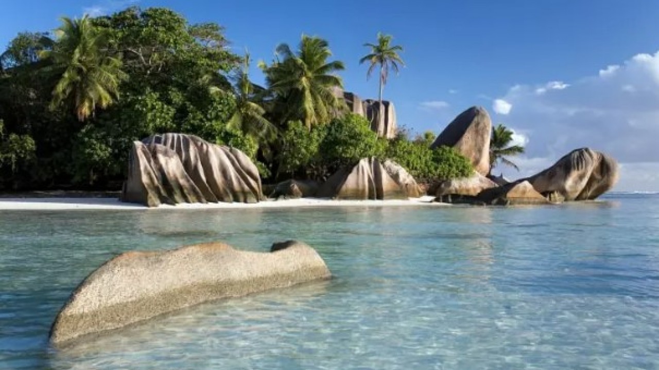 Foto - Ülke ülke sıralandı: İşte Türkiye'deki memur sayısı!