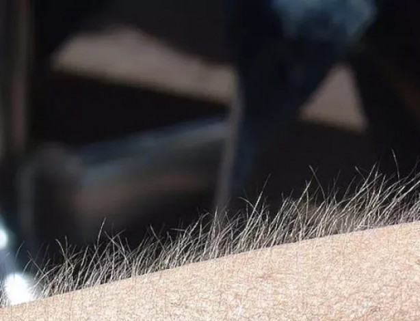 Foto - Ülkeler hakkında 12 ilginç gelenek! Listede Türkiye de var