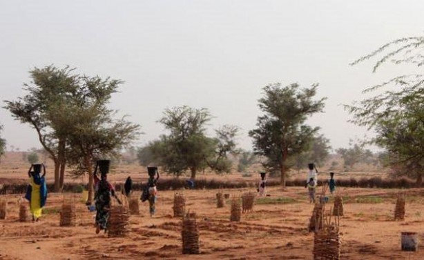 Foto - Ülkelerin birbirinden ilginç namları! Türkiye dünyaya böyle nam salmış
