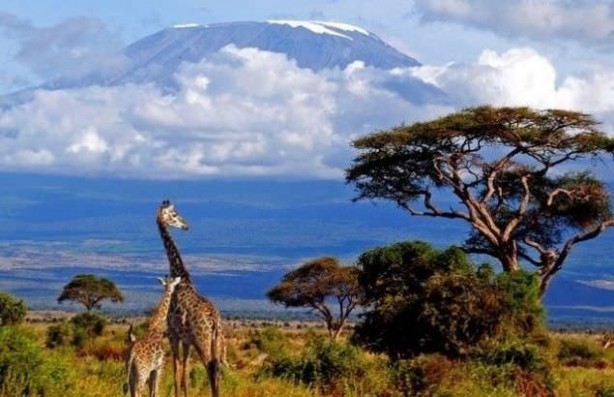 Foto - Ülkelerin birbirinden ilginç namları! Türkiye dünyaya böyle nam salmış