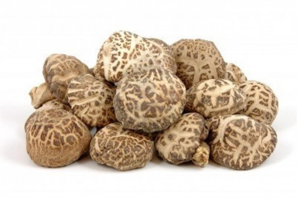 Foto - Ülkemizde bulunan yenilebilir mantarlar