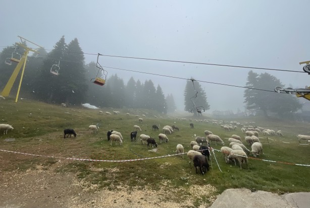 Foto - Uludağ'da kar sürprizi