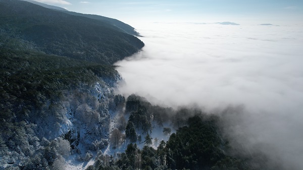Foto - Uludağ'da masalsı görüntüler oluştu