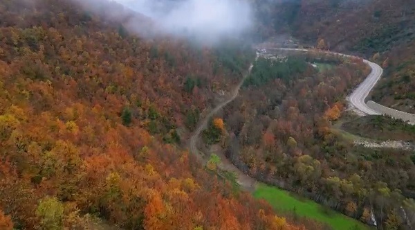 Foto - Uludağ’da renk cümbüşü 