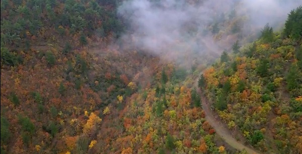 Foto - Uludağ’da renk cümbüşü 