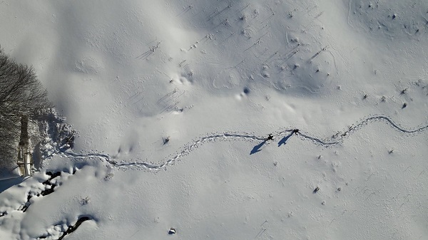 Foto - Uludağ'ın bu bölgesine ayak basılmıyor! 