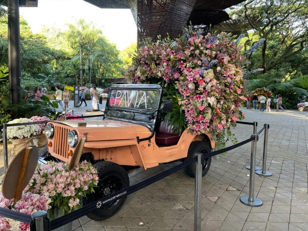 Foto - "Ulusal Orkide Festivali" başladı