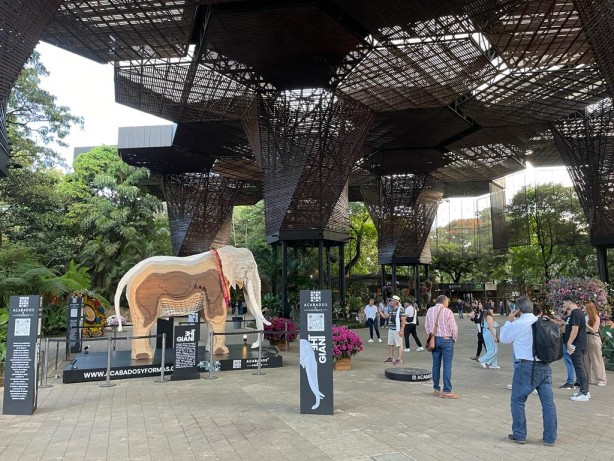 Foto - "Ulusal Orkide Festivali" başladı