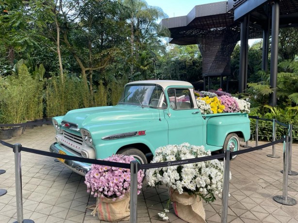 "Ulusal Orkide Festivali" başladı