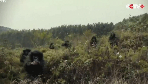 Foto - Uluslararası ajanslar "dünya savaşı kapıda" dedi! Çin'den 3 dakika boyunca füze yağmuru