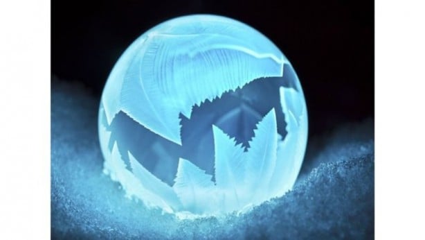 Foto - Uluslararası Bilim Fotoğrafları yarışmasından muhteşem görüntüler