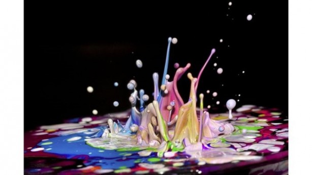 Foto - Uluslararası Bilim Fotoğrafları yarışmasından muhteşem görüntüler