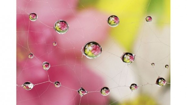 Foto - Uluslararası Bilim Fotoğrafları yarışmasından muhteşem görüntüler