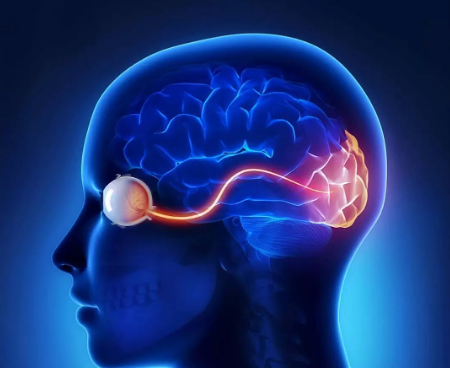 Foto - 'Uluslararası Kanser Dergisi' yazdı! Ölümcül beyin tümörlerine karşı müthiş buluş