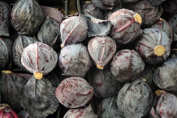 Foto - Uluslararası Meyve ve Sebze Yılı, sektörün gözünü yeni pazar arayışına çevirdi