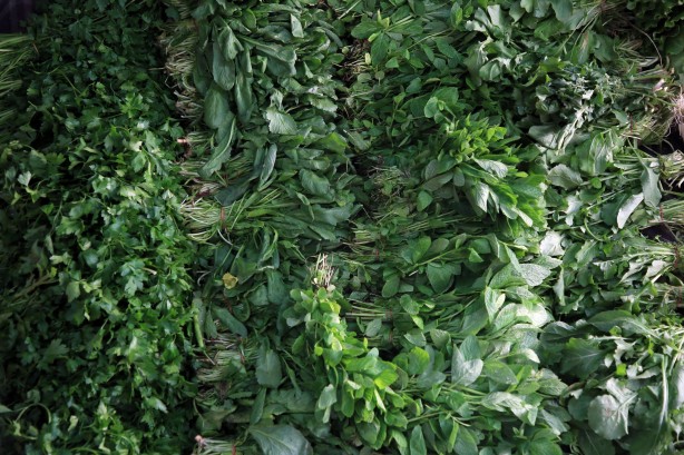 Foto - Uluslararası Meyve ve Sebze Yılı, sektörün gözünü yeni pazar arayışına çevirdi