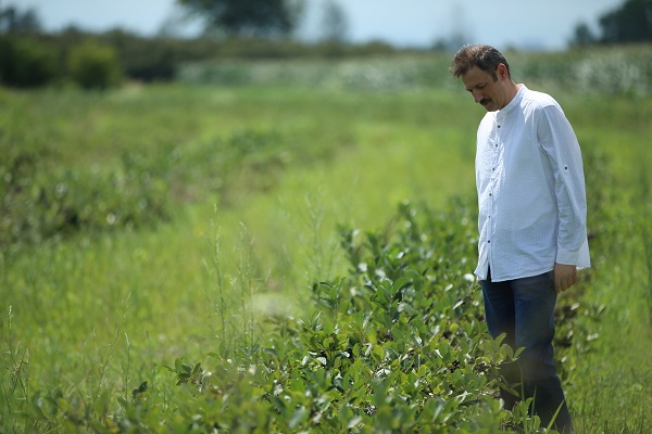 Foto - Umduğundan fazla üretti ihracata hazırlanıyor! Kanser hastası babası için yetiştirdi