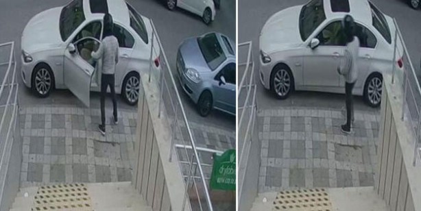 Ümraniye'de 'hayalet' fareleri böyle görüntülendi