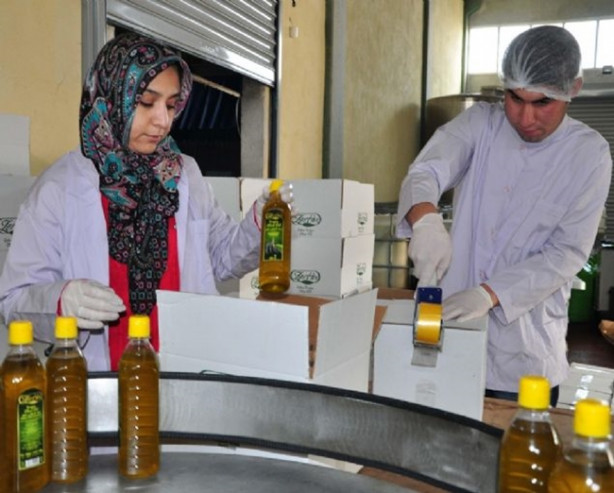 Foto - Umre'ye gitti, zengin oldu!