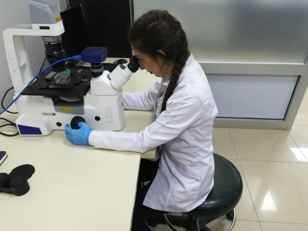 Foto - Umut ışığı yandı İşte göğüs kanseri hücrelerini yok eden besin