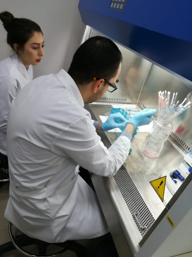 Foto - Umut ışığı yandı İşte göğüs kanseri hücrelerini yok eden besin