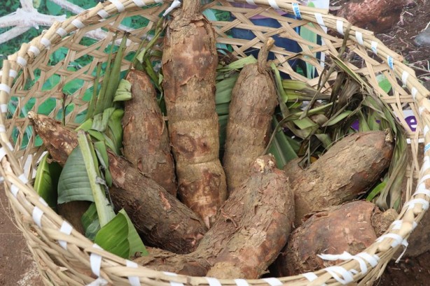 Foto - Un krizine böyle çözüm buldular!