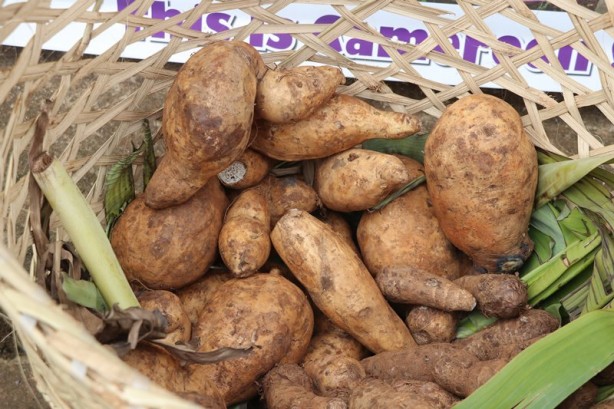 Foto - Un krizine böyle çözüm buldular!