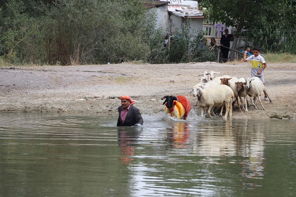 Foto - UNESCO'nun listesinde! Bu yarışma ülkemizde 850 yıldır yapılıyor