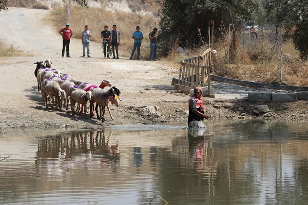 Foto - UNESCO'nun listesinde! Bu yarışma ülkemizde 850 yıldır yapılıyor