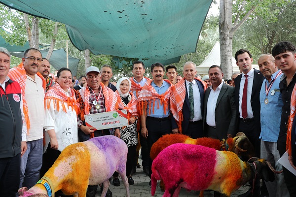 Foto - UNESCO'nun listesinde! Bu yarışma ülkemizde 850 yıldır yapılıyor