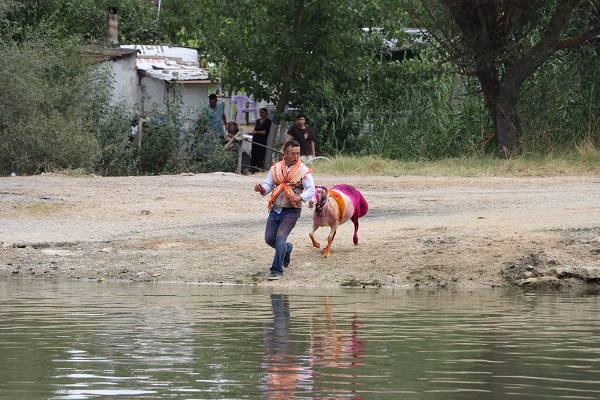 Foto - UNESCO'nun listesinde! Bu yarışma ülkemizde 850 yıldır yapılıyor