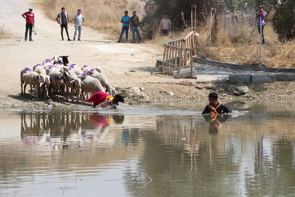 Foto - UNESCO'nun listesinde! Bu yarışma ülkemizde 850 yıldır yapılıyor