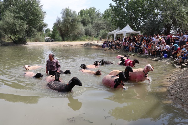 Foto - UNESCO'nun listesinde! Bu yarışma ülkemizde 850 yıldır yapılıyor