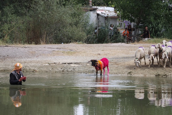 Foto - UNESCO'nun listesinde! Bu yarışma ülkemizde 850 yıldır yapılıyor