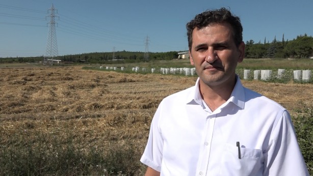 Foto - Üniversite arazisine buğday ektiler! Öyle bir geri dönüş aldılar ki...