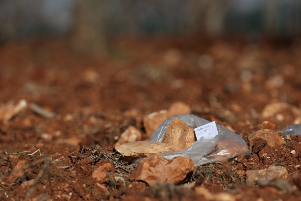 Foto - Üniversite bölgesinde üç yılda bulundu: Paleolitik döneme ait sır gibi saklanan 8 bin 200 eser ortaya çıktı! Damga vuran keşif