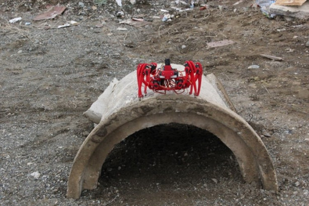 Foto - Üniversiteli gençler "Örümcek Robot" üretti