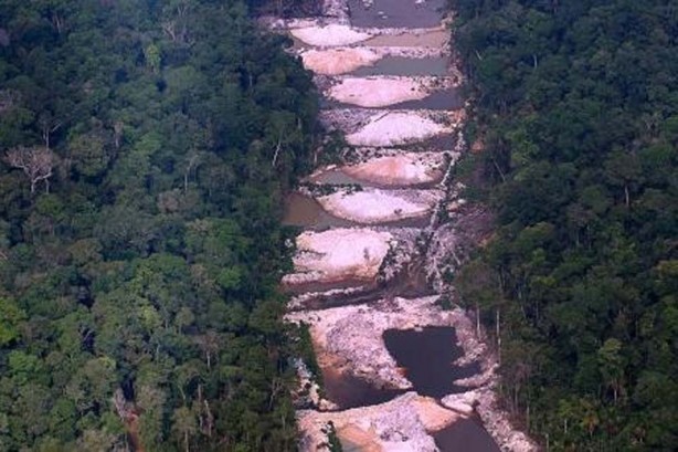 Foto - Ünlü 3 şirket, et için ormanları yok etti! Her şeyi sessiz sedasız yapmışlar