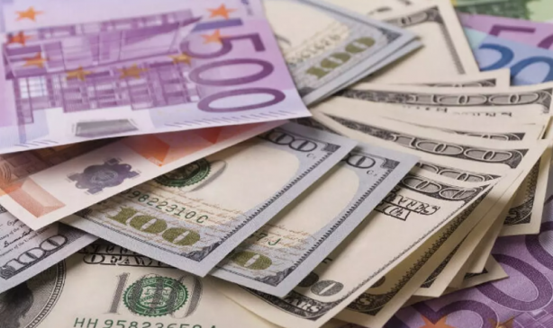 Foto - Ünlü ekonomistin euro tahmini gündemi altüst edecek: Sizi uyarmıştım! Euro o tarihte 50 lira olacak