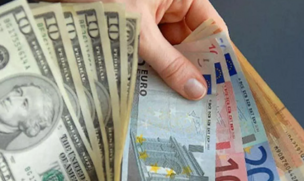 Foto - Ünlü ekonomistin euro tahmini gündemi altüst edecek: Sizi uyarmıştım! Euro o tarihte 50 lira olacak