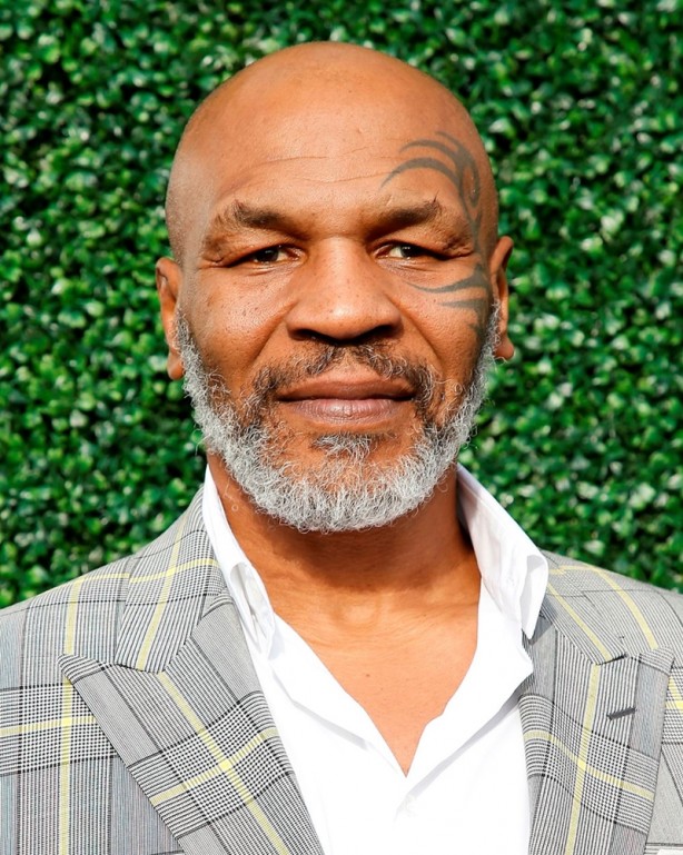 Foto - Ünlü eski boksör Mike Tyson bir gorille dövüşmek için 10 bin dolar teklif etti