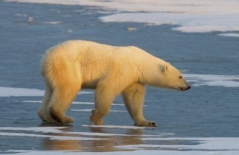 Foto - Ünlü fizikçinin korkutucu uyarıları tekrar gündeme geldi! ‘Çok daha beteri olacak’