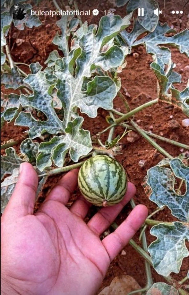 Foto - Ünlü isim, oyunculuğu bıraktı! Yeni mesleği herkesi şok etti