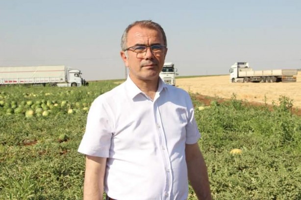 Foto - Ünlü karpuzun hasadı başladı