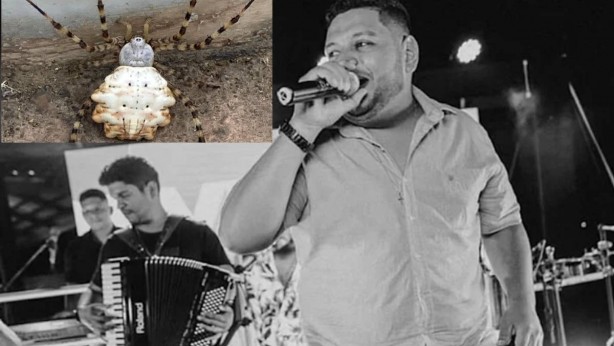 Foto - Ünlü şarkıcıdan acı haber! Feci şekilde can verdi