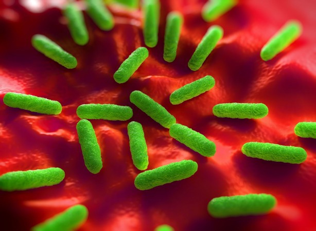 Foto - Ünlü Türk helva markasında hastalık tespit edildi! Marketlerden acil olarak toplatılıyor