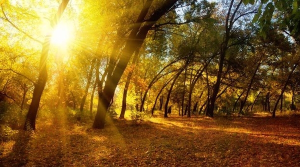 Foto - Ünlü uzmandan 40 faktör güneş kremi tarifi