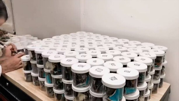 Foto - Ünlü YouTuber bunu da yaptı... Mercedes AMG G-63 G-Wagon dayanıklılık testinden çıkamadı! Geriye ise bu video kaldı